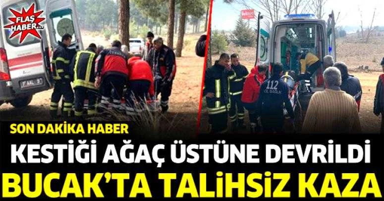 KESTİĞİ AĞAÇ ÜSTÜNE DEVRİLDİ