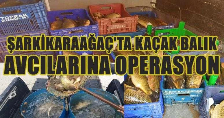 ŞARKİKARAAĞAÇ