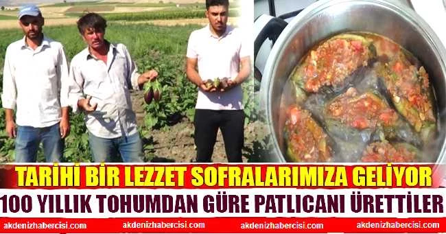 100 yıllık tohumdan güre patlıcanı ürettiler