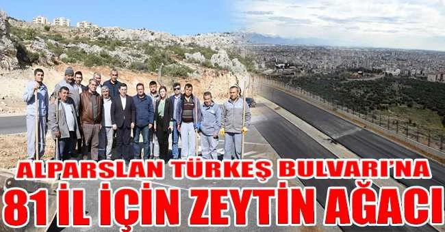 Alparslan Türkeş Bulvarı’na 81 il için zeytin ağacı