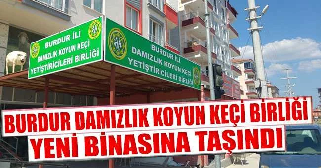 DAMIZLIK KOYUN KEÇİ BİRLİĞİ YENİ BİNASINA TAŞINDI