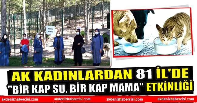 AK KADINLARDAN 81 İL