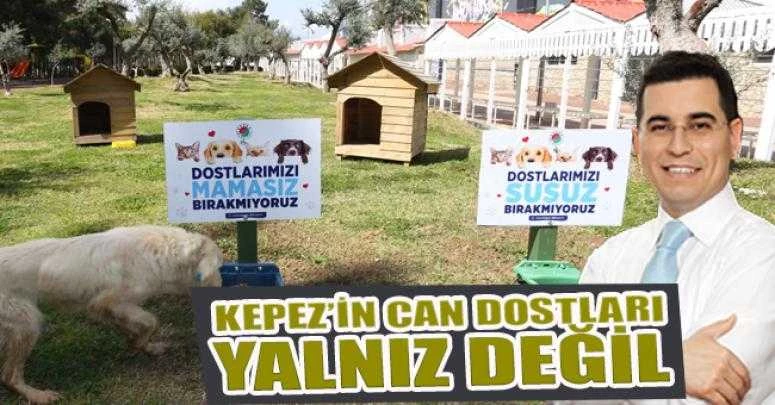 Kepez’in can dostları yalnız değil