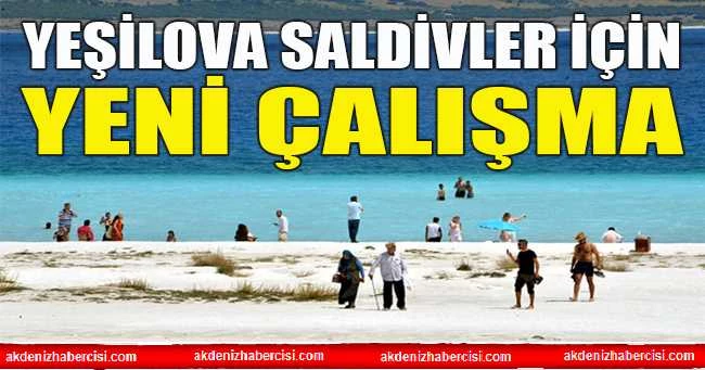 Yeşilova Saldivler İçin Yeni Çalışma