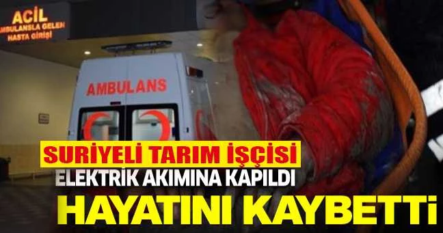Isparta
