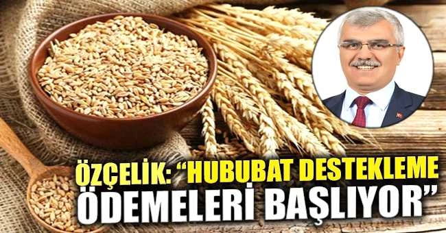 ÖZÇELİK: “HUBUBAT DESTEKLEME ÖDEMELERİ BAŞLIYOR”