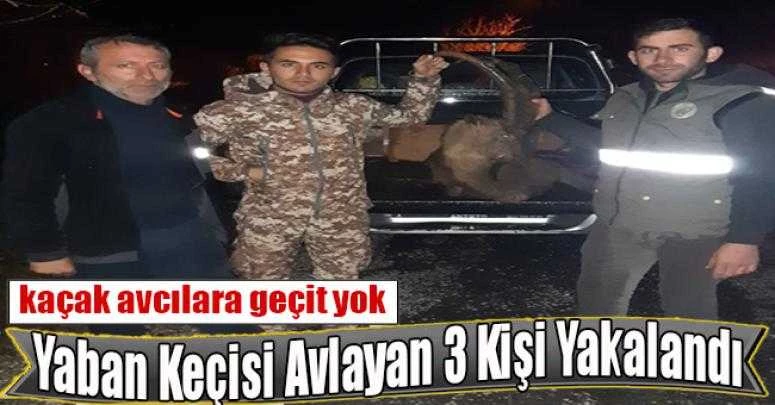 Kaçak Yaban Keçisi Avlayan 3 Kişi Yakalandı