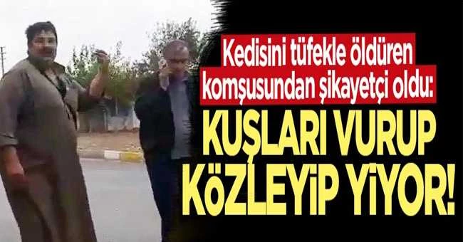 Kedisini tüfekle öldüren komşusundan şikayetçi oldu: Kuşları da vuruyor, közleyip yiyor
