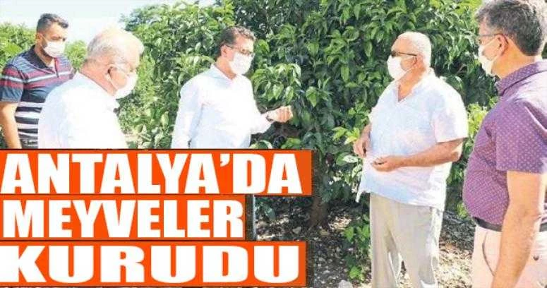 Antalya