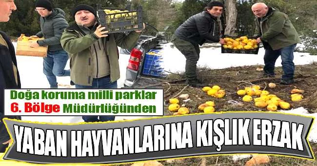 Doğa koruma milli parklar 6. Bölge Müdürlüğünden Yaban Hayvanlarına Kışlık Erzak