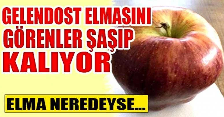 935 gramlık elma görenleri şaşırttı