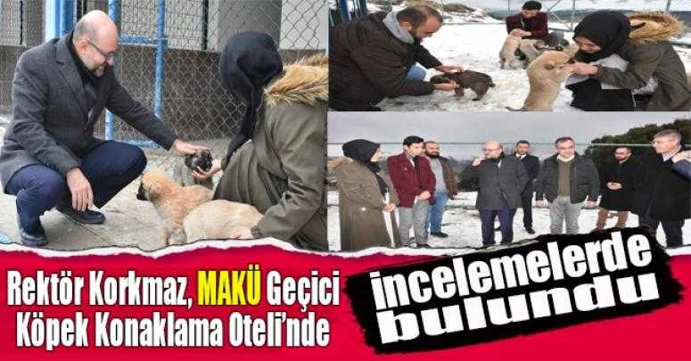 MAKÜ GEÇİCİ KÖPEK KONAKLAMA OTELİ YAPILDI