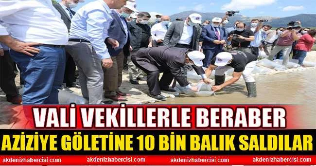 BURDUR AZİZİYE GÖLETİNE 10 BİN BALIK SALINDI
