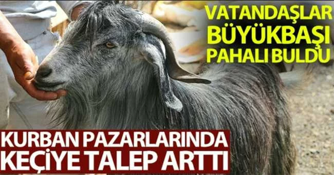 Kurban pazarında keçiye talep arttı