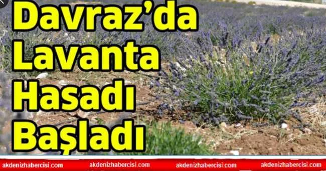 Davraz