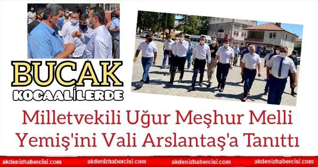 Milletvekili Uğur Meşhur Melli Yemiş