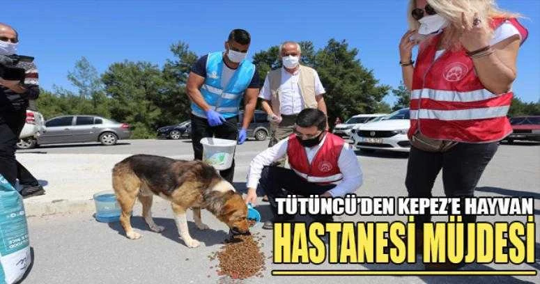 Tütüncü’den Kepez’e hayvan hastanesi müjdesi