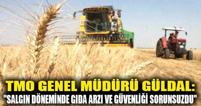 TMO Genel Müdürü Güldal: 
