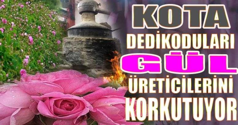 GÜL ÜRETİCİLERİ HUZURSUZ BİR ŞEKİLDE GÜLLERİNİ TOPLUYORLAR