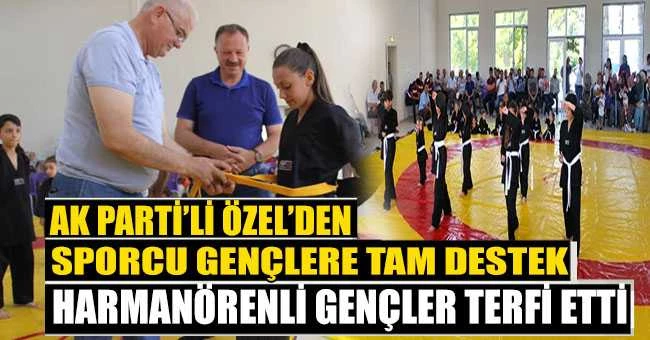 Özel