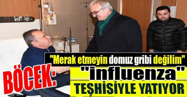 Böcek: 