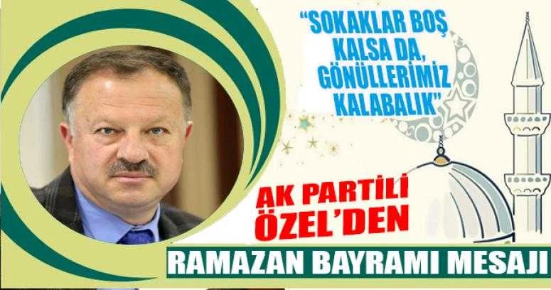 Ak Parti