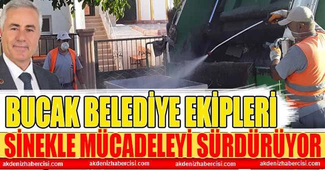 Bucak’ta Temizlik İşleri Sinekle Mücadeleyi Sürdürüyor