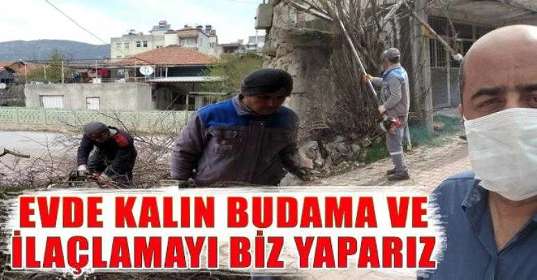 EVDE KALIN BUDAMA VE İLAÇLAMAYI BİZ YAPARIZ