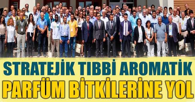 STRATEJİK TIBBİ AROMATİK PARFÜM BİTKİLERİNE YOL HARİTASI ARAYIŞI