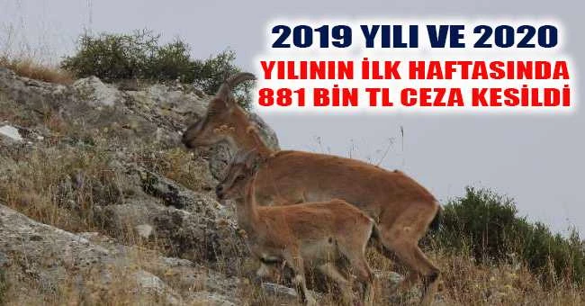 2019 YILI VE 2020 YILININ İLK HAFTASINDA 881 BİN TL CEZA KESİLDİ