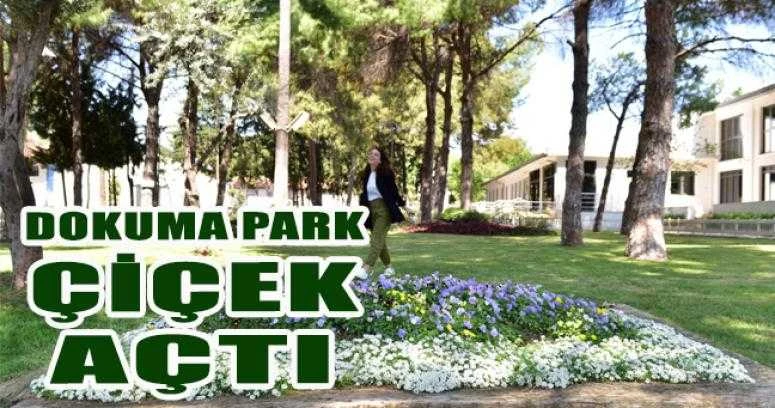 Dokumapark çiçek açtı