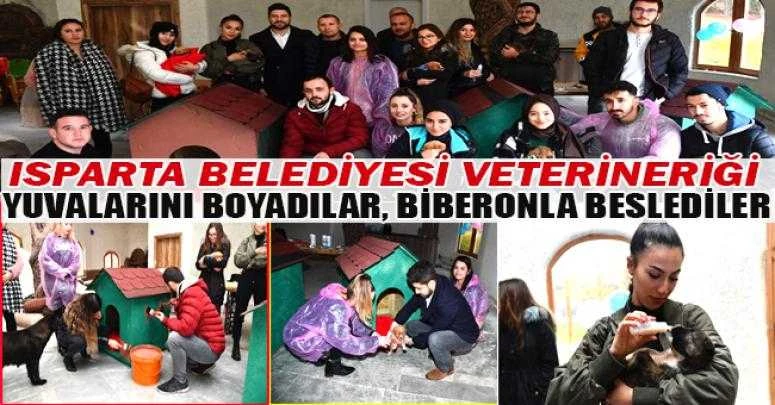 Yuvalarını boyadılar, biberonla beslediler
