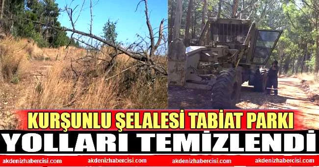 Kurşunlu Şelalesi Tabiat Parkı yolları temizlendi