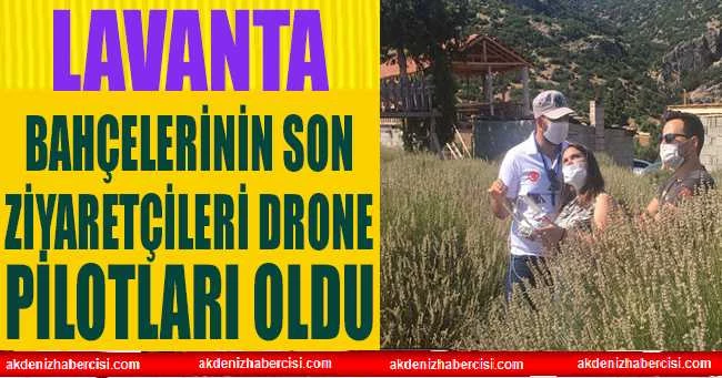 LAVANTA BAHÇELERİNİN SON ZİYARETÇİLERİ DRONE PİLOTLARI OLDU