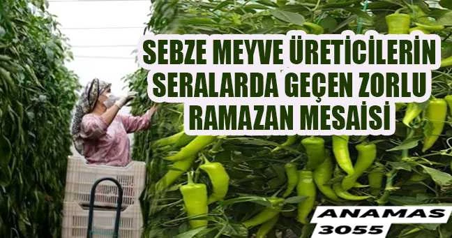 Sebze meyve üreticilerin seralarda geçen zorlu Ramazan mesaisi