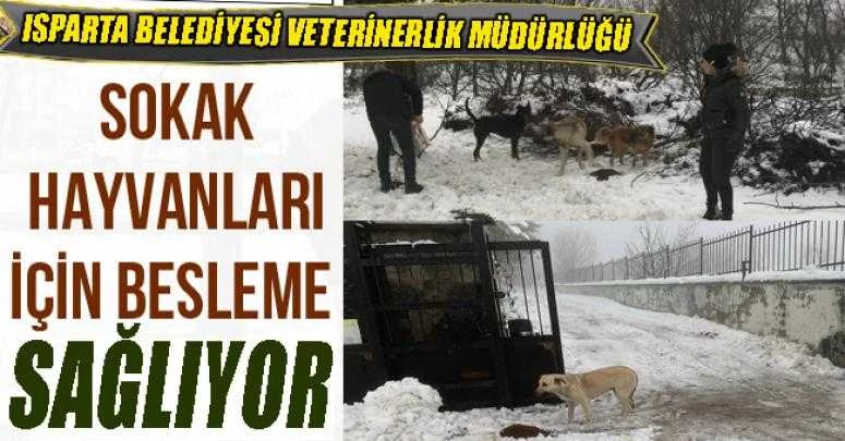 ISPARTA BELEDİYESİ SOKAK HAYVANLARINI UNUTMADI