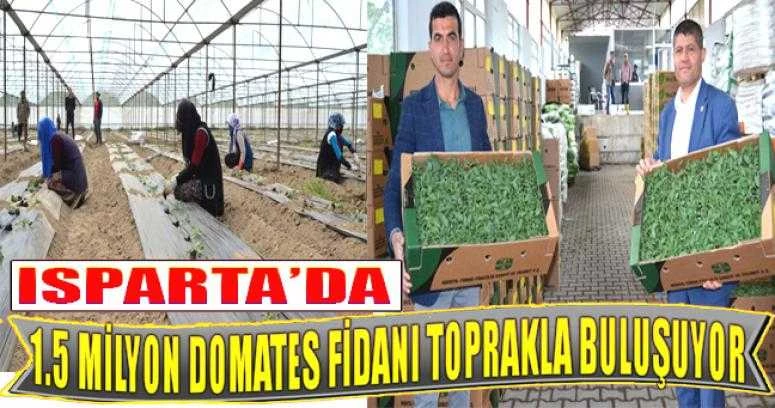 Isparta