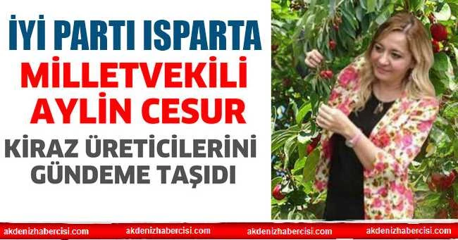 MİLLETVEKİLİ AYLİN CESUR; KİRAZ ÜRETİCİLERİNİ GÜNDEME TAŞIDI