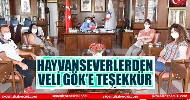 HAYVANSEVERLERDEN VELİ GÖK’E TEŞEKKÜR