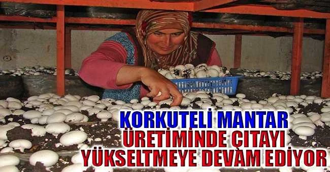 Korkuteli Mantar Üretiminde çıtayı yükseltmeye devam ediyor