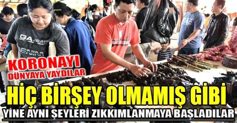 NORMALE DÖNDÜLER YİNE AYNI ŞEYLERİ YEMEYE BAŞLADILAR