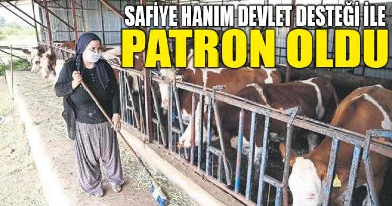 Safiye Hanım Devlet desteği ile patron oldu