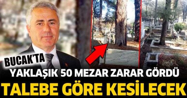MEZARLARIN ÜSTÜNDEKİ AĞAÇLAR TALEBE GÖRE KESİLECEK