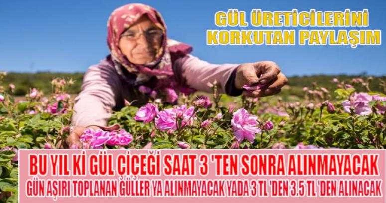 GÜL ÜRETİCİLERİNİ KORKUTAN PAYLAŞIM