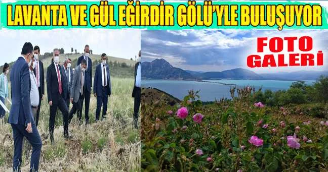 Lavanta ve Gül Eğirdir Gölü’yle Buluşuyor