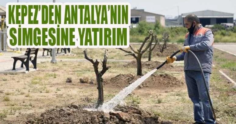 Kepez’den Antalya’nın simgesine yatırım