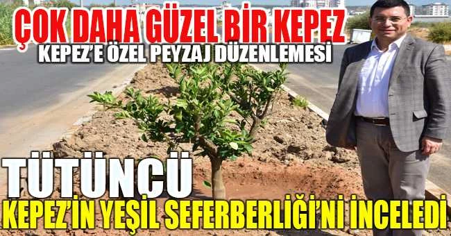 Tütüncü, Kepez’in Yeşil Seferberliği’ni inceledi