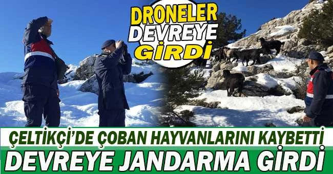 ÇOBAN HAYVANLARINI KAYBETTİ DEVREYE JANDARMA GİRDİ