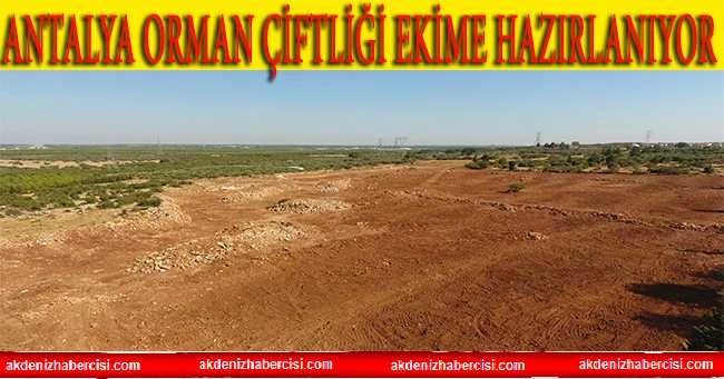KEPEZ BELEDİYESİ ORMAN ÇİFTLİĞİNİ EKİME HAZIRLIYOR