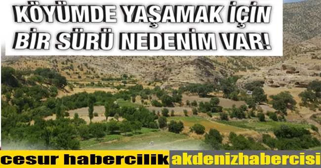 “KÖYÜMDE YAŞAMAK İÇİN BİR SÜRÜ NEDENİM VAR”